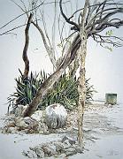 Etude, Los Guaimaros  1997